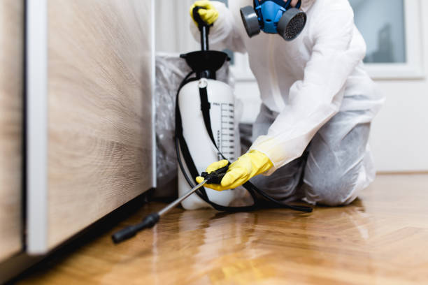 Best Insect Control  in Liberty Corner, NJ