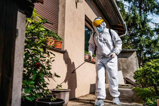 Best Pest Control Near Me in Liberty Corner, NJ