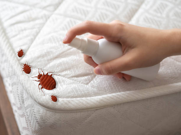 Pest Control Cost in Liberty Corner, NJ