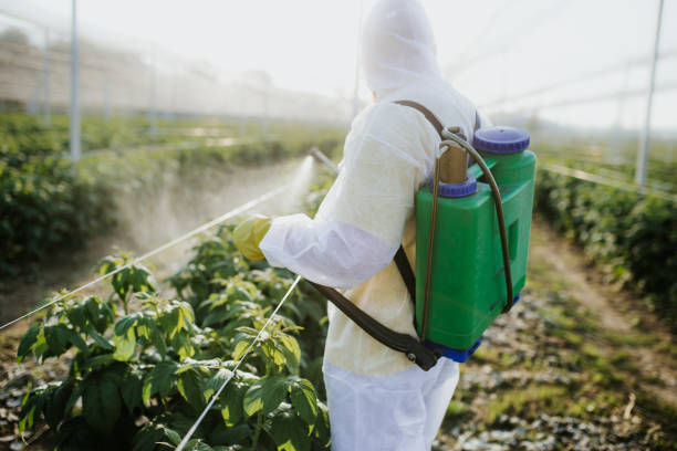 Best Ant Control Services  in Liberty Corner, NJ